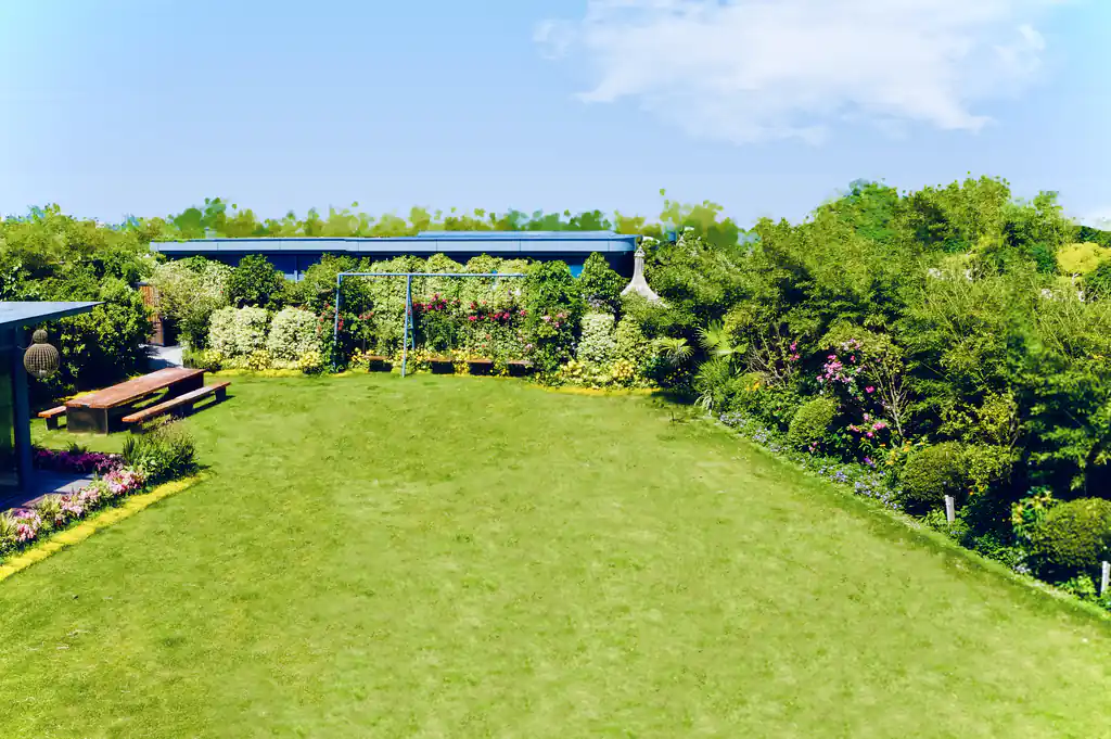 大草坪全景:开阔草地与环绕的绿植